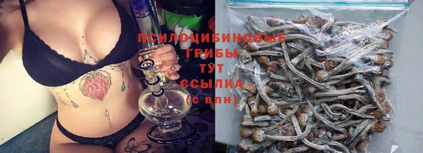 spice Аркадак