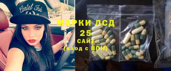 spice Аркадак