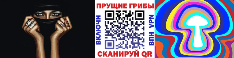 Купить закладки  Выкса  Псилоцибиновые грибы мицелий 